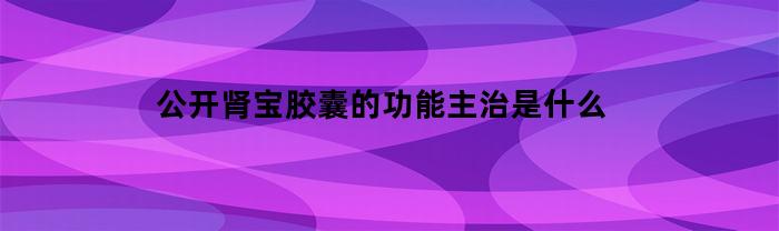 公开肾宝胶囊的功能主治是什么